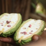 Kakao geöffnet - auch noch unreif